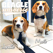 Beagle Universe