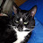 Katelyn Nance Avatar