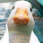 NK Gonzalez Avatar