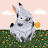 Smiler Avatar