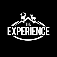 The Experience net worth