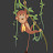 ML Avatar