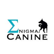 Enigma Canine