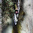 Guido minorLeo Avatar