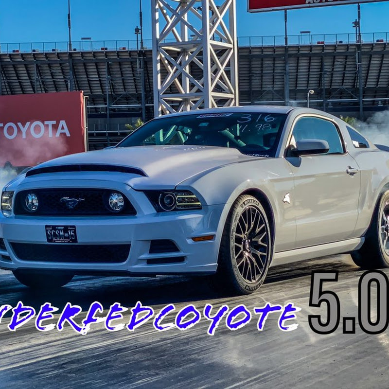Underfedcoyote 5.0