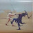 Cody Grannemann Avatar