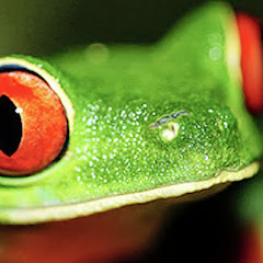 Thumbnail of related channel