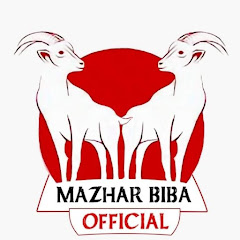 Mazhar Biba Official net worth