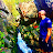 Handsome Nature Avatar