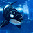 Orca that wears a tinfoil hat Avatar