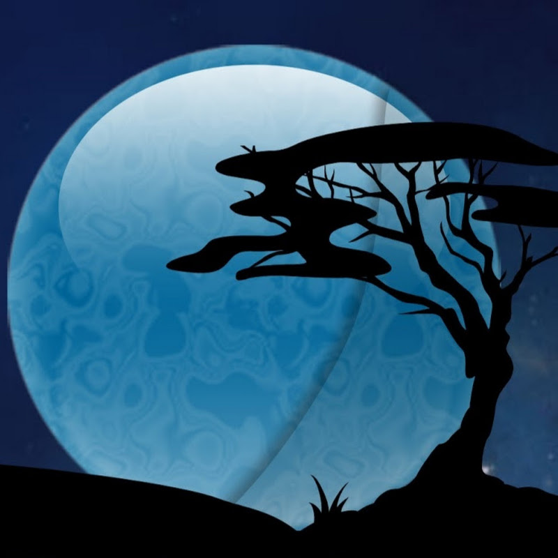 Moon Coin