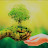 Relaxation Meditation