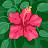 Pokossy estelle Avatar