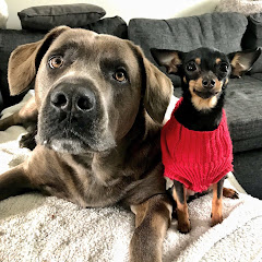 Thumbnail of related channel