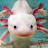 Aquarium Guy Avatar