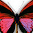 Dreamer Avatar