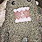 Joe Montrell Avatar
