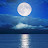 Silver Moon