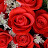 Regina Beasley Avatar