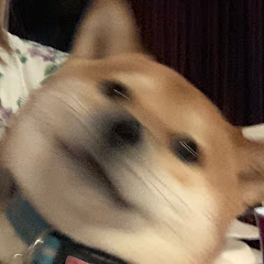 Thumbnail of related channel