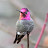 Donna Church Avatar