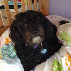 Thumbnail of related channel