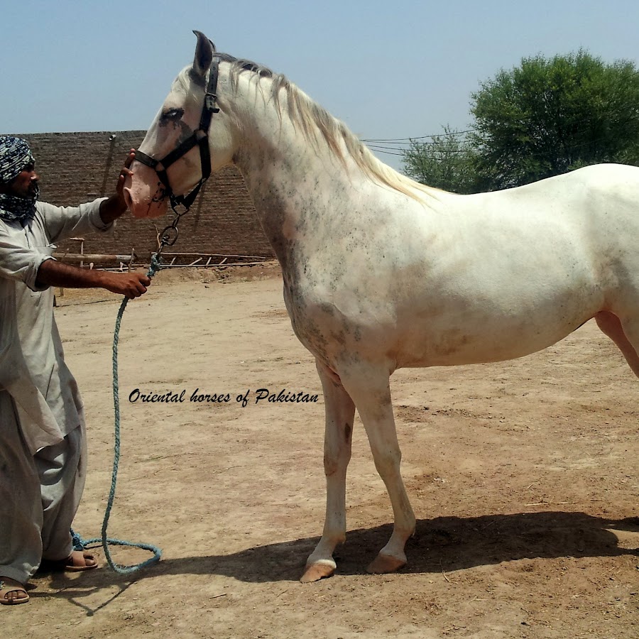 AMLnZubXmPcTDZkiP7lZZQOifC4TyCTmMuOdJ6O2gp5Q=s900ckc0x00ffffffnorj