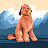 Josh Stopford Avatar