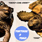 Tortoise Toad YouTube Profile Photo