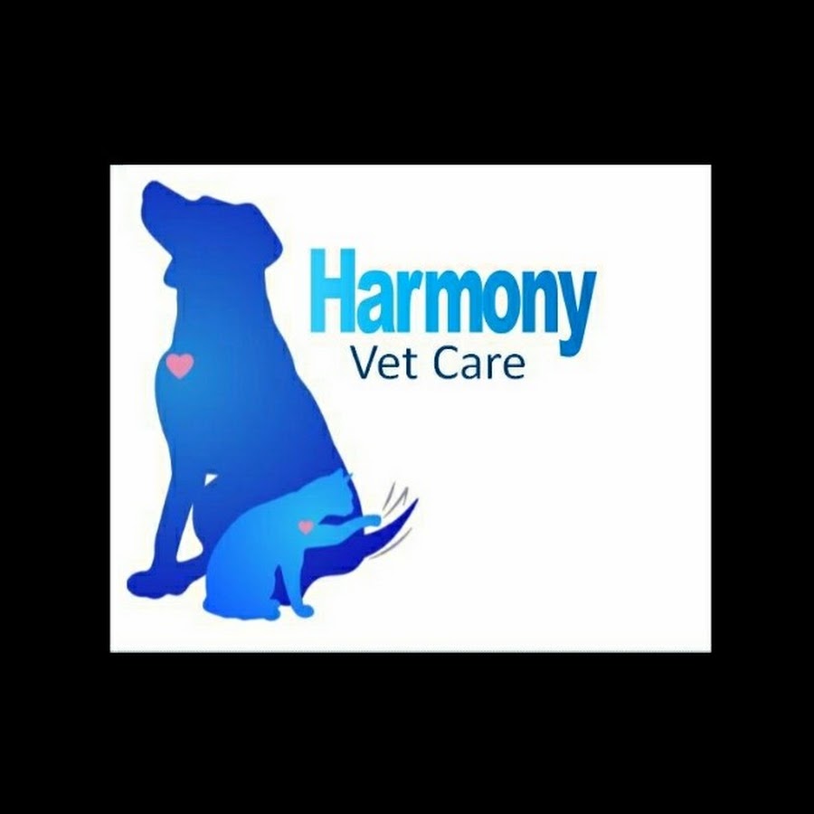 AMLnZu0JQs3iayYw0SkkV_YuPMliq6osn5NM7VgI4Tg=s900ckc0x00ffffffnorj