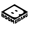 What could Boomerang Vietnam buy with $1.66 million?