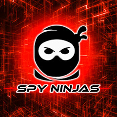 Spy Ninjas net worth