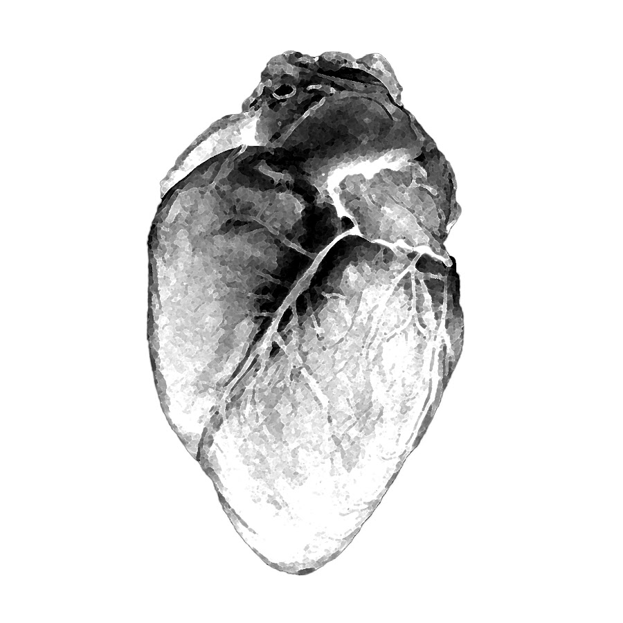 AMLnZu-1mlLErc9g66AQ5W6ZVMorB4KiCcQh_toDioJ4=s900-c-k-c0x00ffffff-no-rj