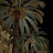 Faisal 35i9 Avatar