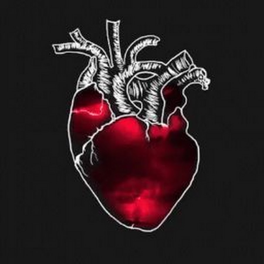 Анатомическое сердце на черном фоне