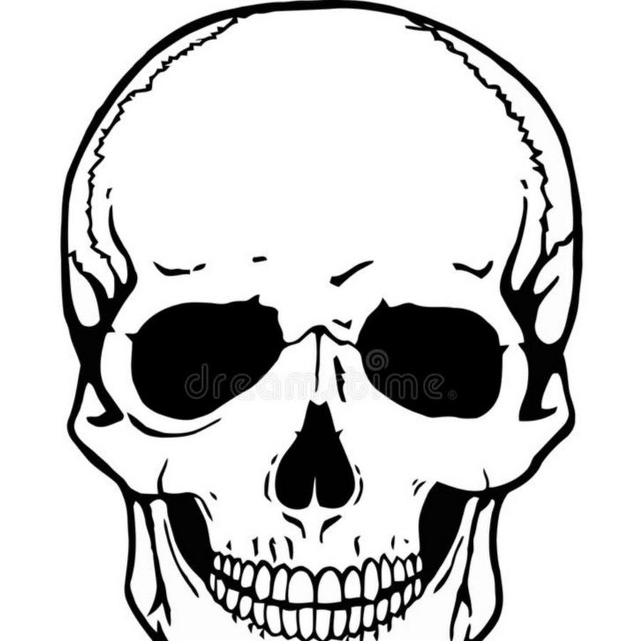 Череп векторное изображение