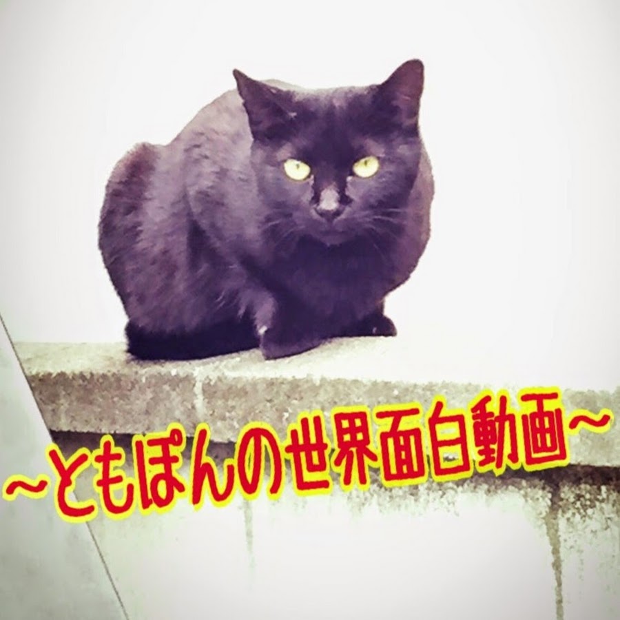 ともぽんの世界面白動画 Youtube