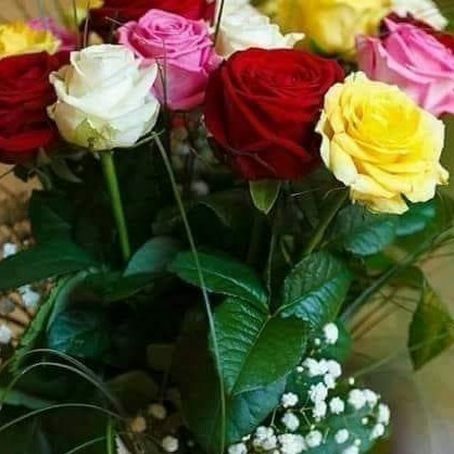 цветы просто так без повода картинки