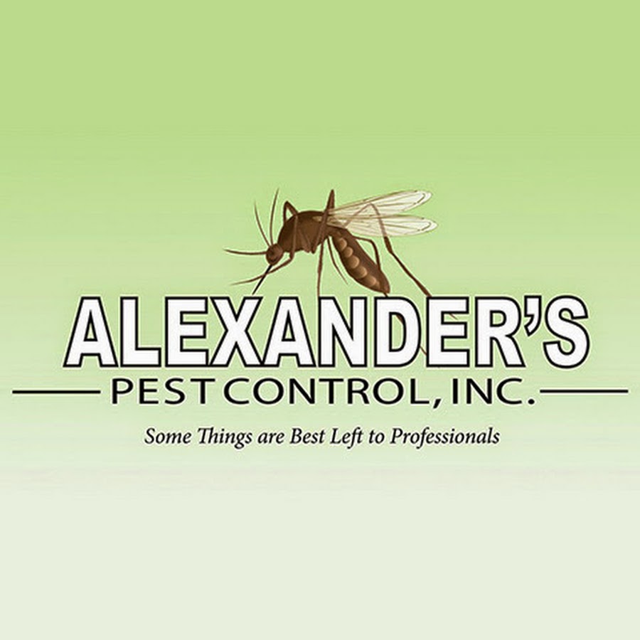 AMLnZu3r2kPY9z4bPZ3oLyj51bvA5dIscZaukW9XXG=s900ckc0x00ffffffnorj