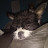 good boys Avatar