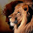 M.B. Avatar