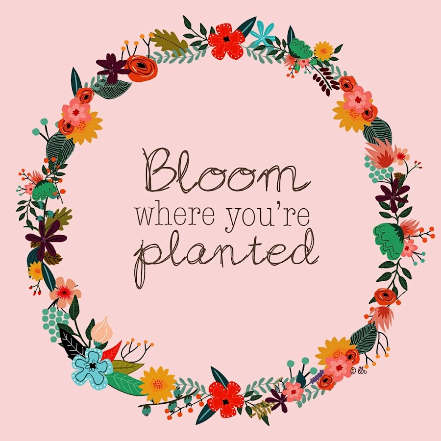 Bloom quotes. Bloom where are you planted Marie Engelbreit.