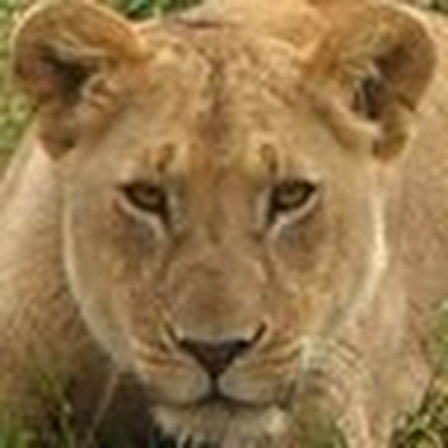 AMLnZu64vmaT27IXQzr5EWcDgUp_iCvUj5pXOaD9uw9MY=s900ckc0x00ffffffnorj