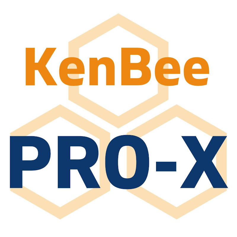 健美医プロKenBee Pro-X