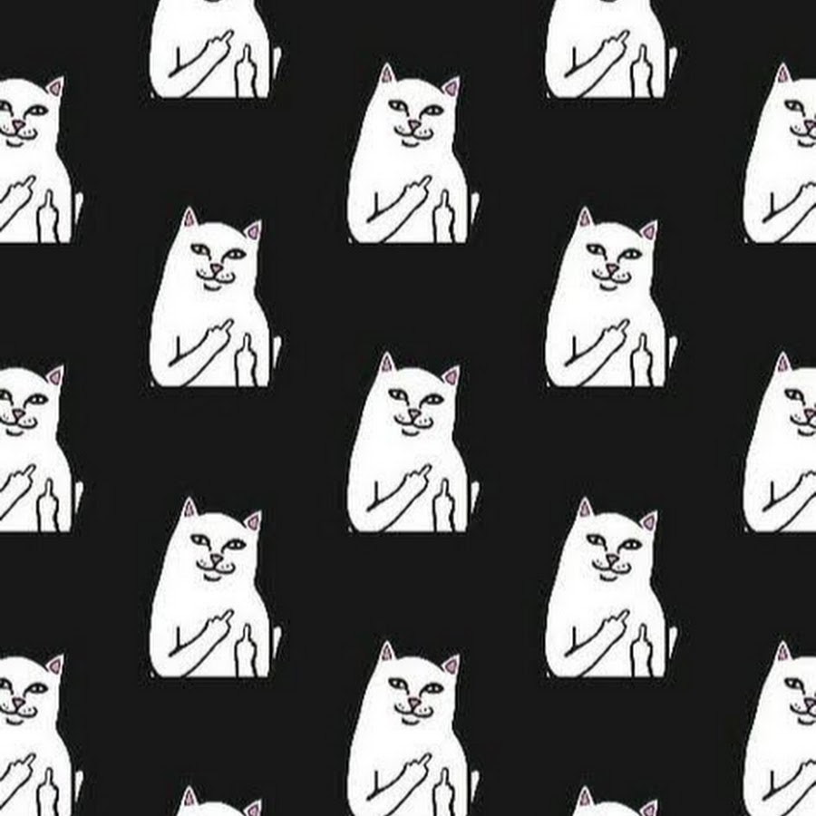 Картинка много факов