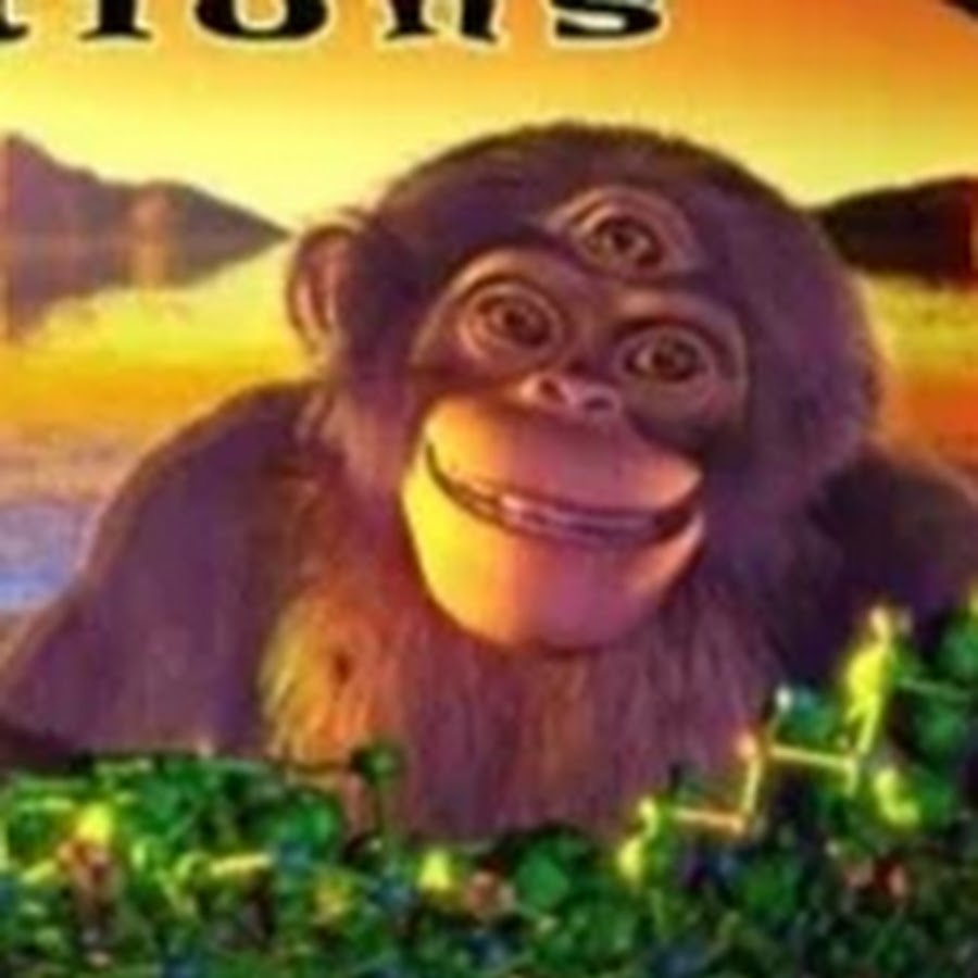 AMLnZu6sPHdzZ8DxfaidpNZLH7oT5kh0EK6T9nxoqcJ=s900ckc0x00ffffffnorj