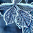 95 Sub-Zero Avatar