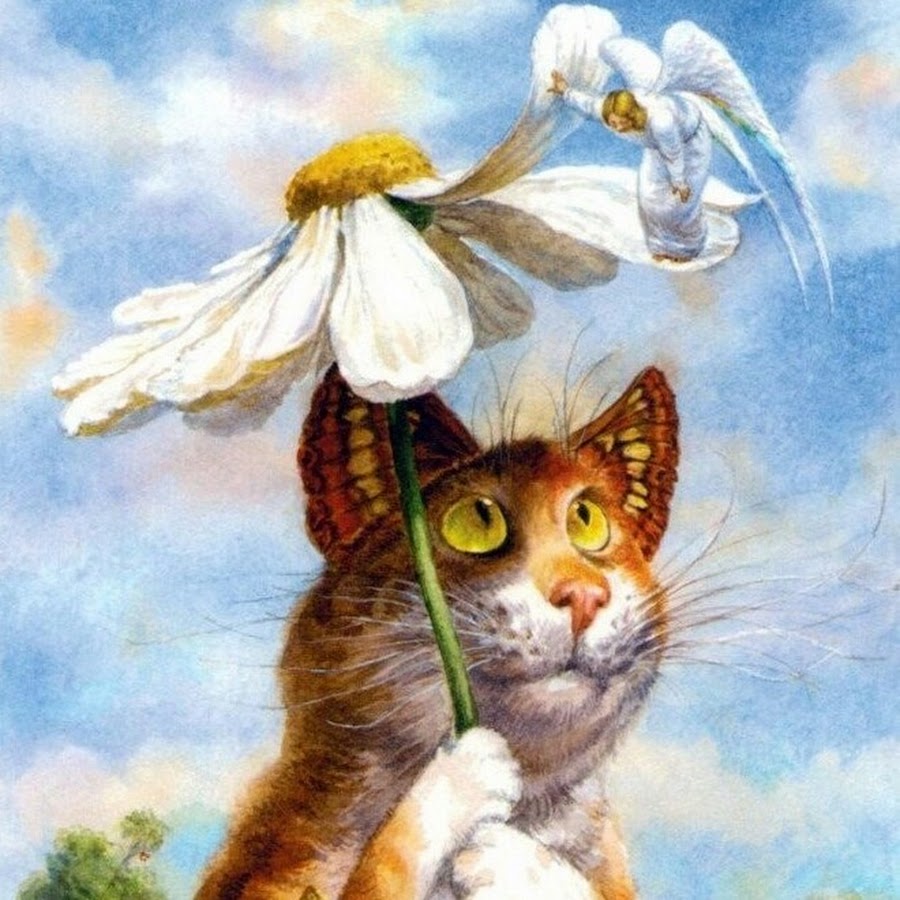 Коты Владимира Румянцева мечтатель