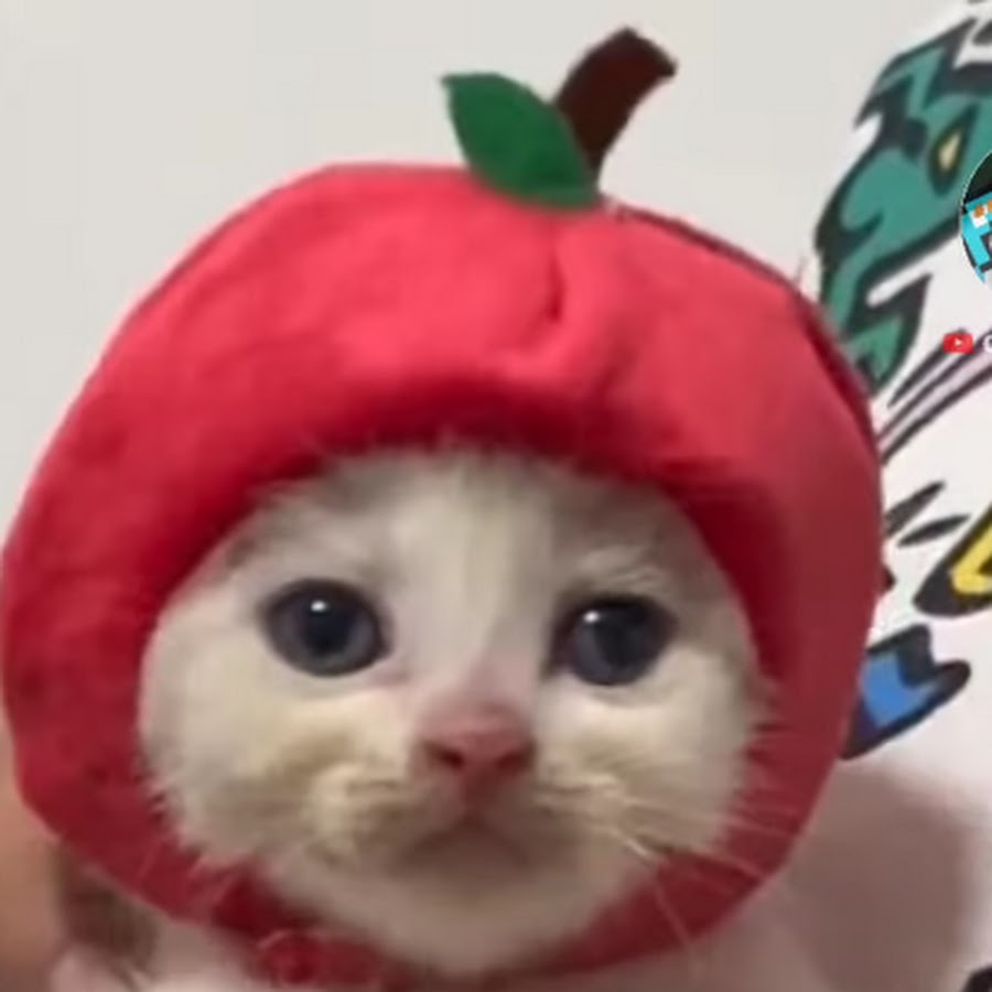 AMLnZu8AmM4d6xbUYWk83v_TBYvwrKbLO0liP47dbJ7A=s900ckc0x00ffffffnorj