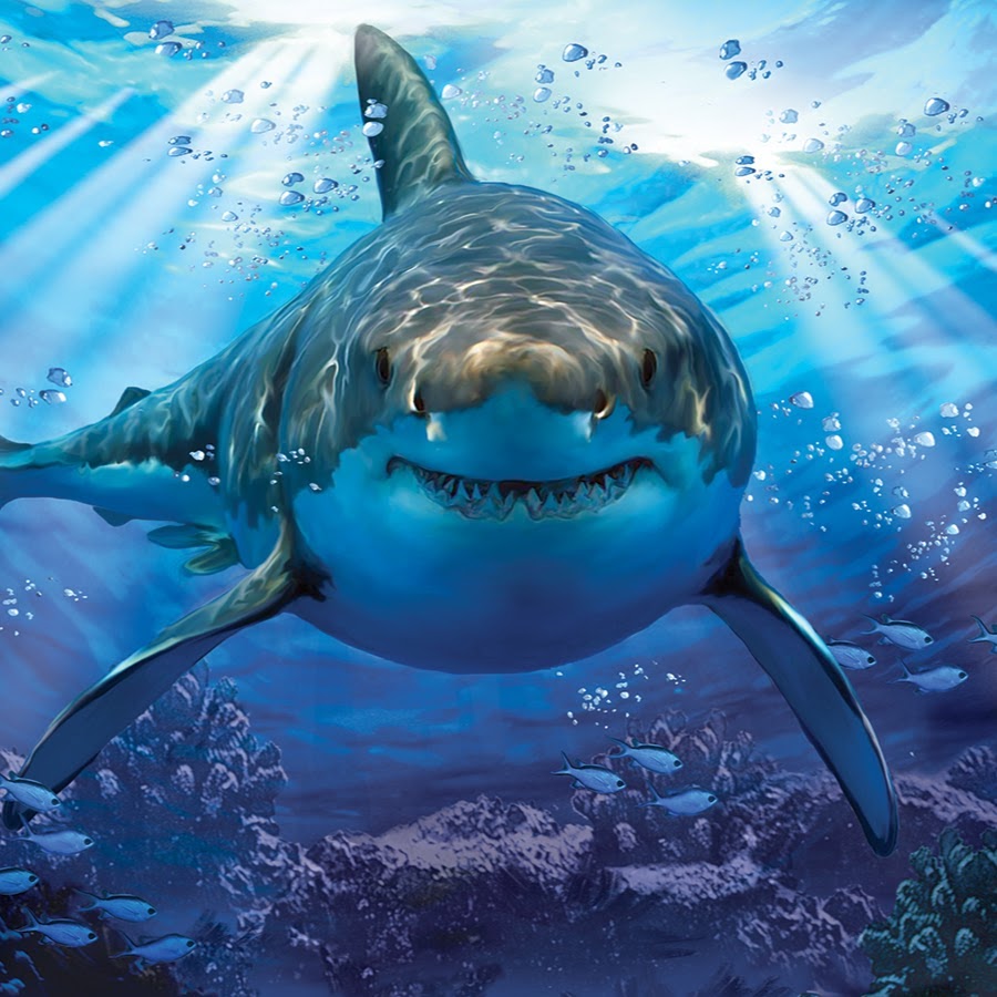 AMLnZu-8HNMvYETmezQQYDDQWApd9Xop_9WoG4eIqa8B=s900-c-k-c0x00ffffff-no-rj